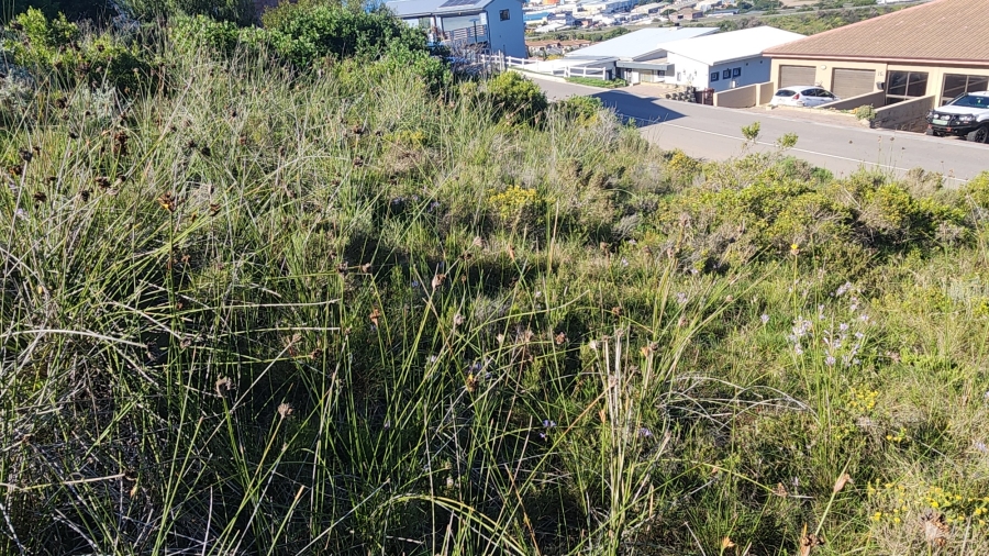 0 Bedroom Property for Sale in Island View Western Cape